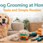 Dog grooming at home using basic tools