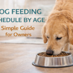 Dog Feeding Schedule by Age: A Simple Guide for Owners