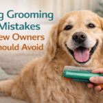 Dog being gently groomed at home to illustrate common grooming mistakes new owners should avoid