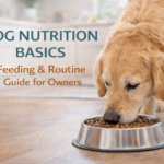 Dog Nutrition Basics: Feeding & Routine Guide for Owners