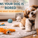 Signs Your Dog Is Bored and What to Do About It