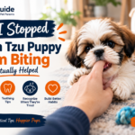 Shih Tzu puppy gently biting a person's hand while learning appropriate play and biting habits through positive training.